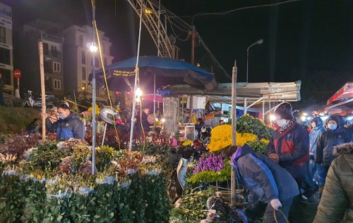 Hàng trăm loại hoa với đủ màu sắc được bày bán tại chợ (Ảnh: Báo Pháp luật Việt Nam)